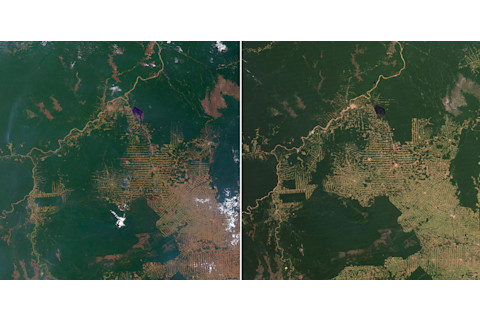 Deforestation satellite view - NASA