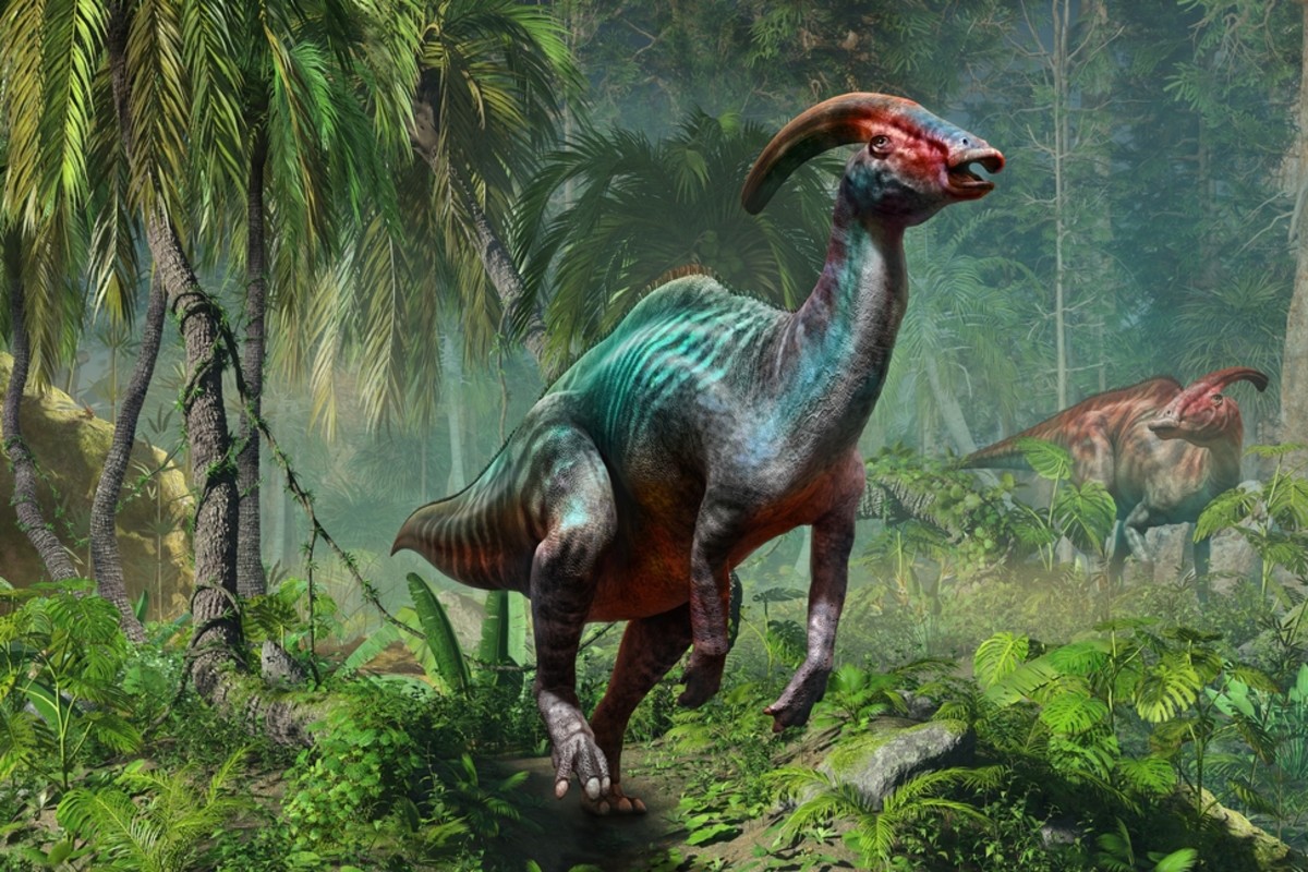 Dinosaurer Parasaurolophus