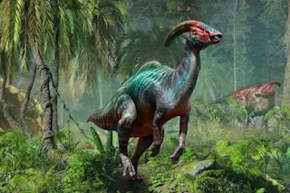 Parasaurolophus illustration from the Cretaceous period
