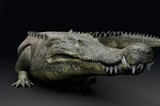 Deinosuchus