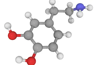 dopamine.jpg