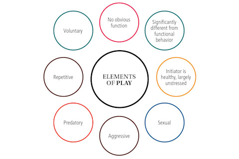 Elements of Play - Discover