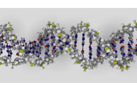 dna-double-helix2.jpg