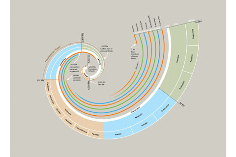 Chronostratigraphy