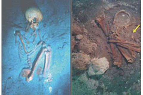 bones-tb.jpg