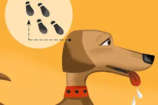 Pavlov Dog