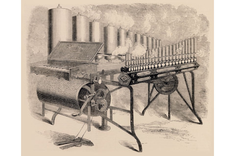 DSC-SM0719 08 calliope