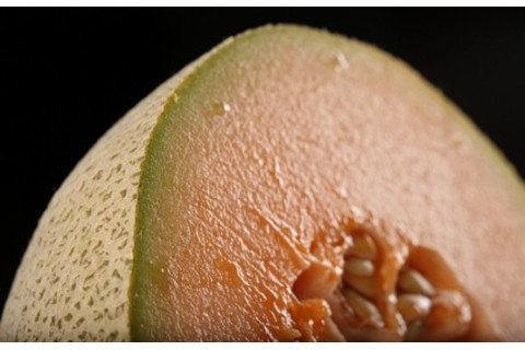 cantaloupe-425x272.jpg