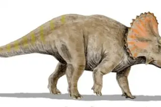 Triceratops.jpg
