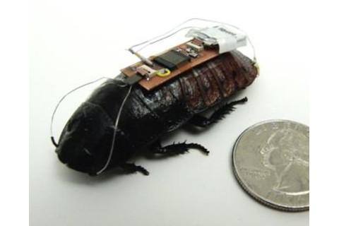 Roachbot2.jpg