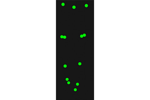 Screen-shot-2013-01-08-at-7.50.41-PM-114x300.png