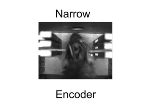 encoder-rat.jpg