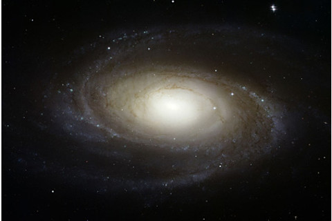 m81.jpg