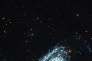 galex_m81m82.jpg