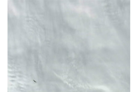 dragon_from_ISS.jpg