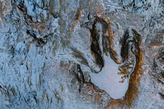 Dinosaur footprint