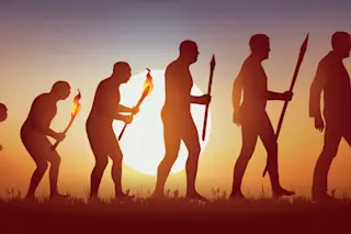Darwin's evolution illustration