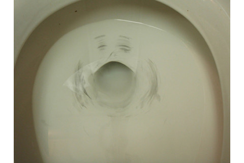 toileteidolia.jpg