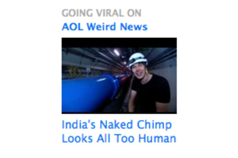 briancox_nakedchimp.jpg