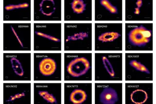 30 exocomet belts