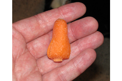 carrot_shuttle.jpg