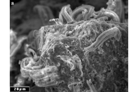 hoover_meteoritelife-300x233.jpg