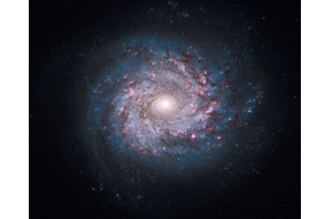 hst_ngc3982-300x242.jpg