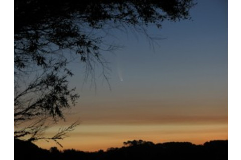 comet_mcnaught_daytime-300x225.jpg