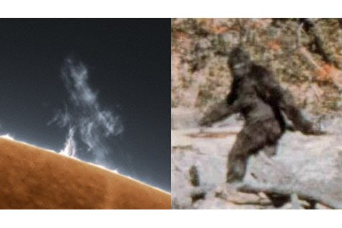 friedman_bigfoot.jpg