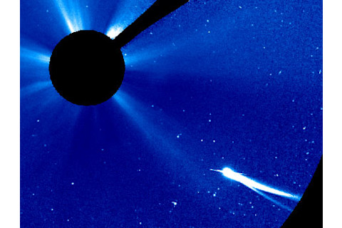 soho_cometlovejoy_2tails.jpg