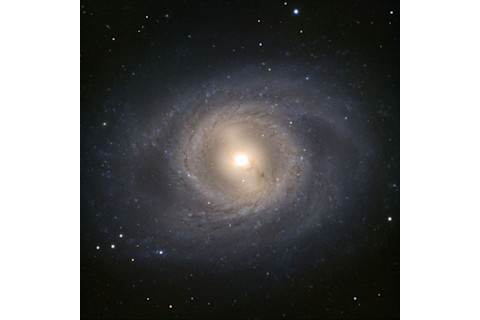 vlt_m95.jpg