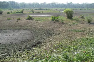 Ponds in the studied area