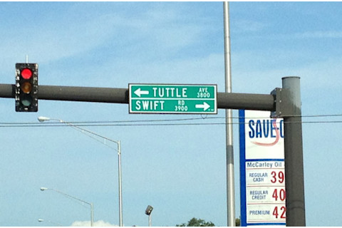 swifttuttle.jpg