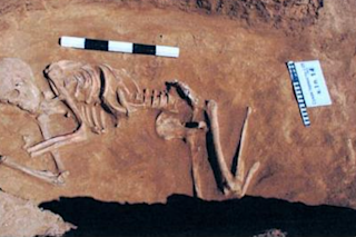 Photo of Remontnoye (3766-3637 calBCE), with a spiral temple ring.