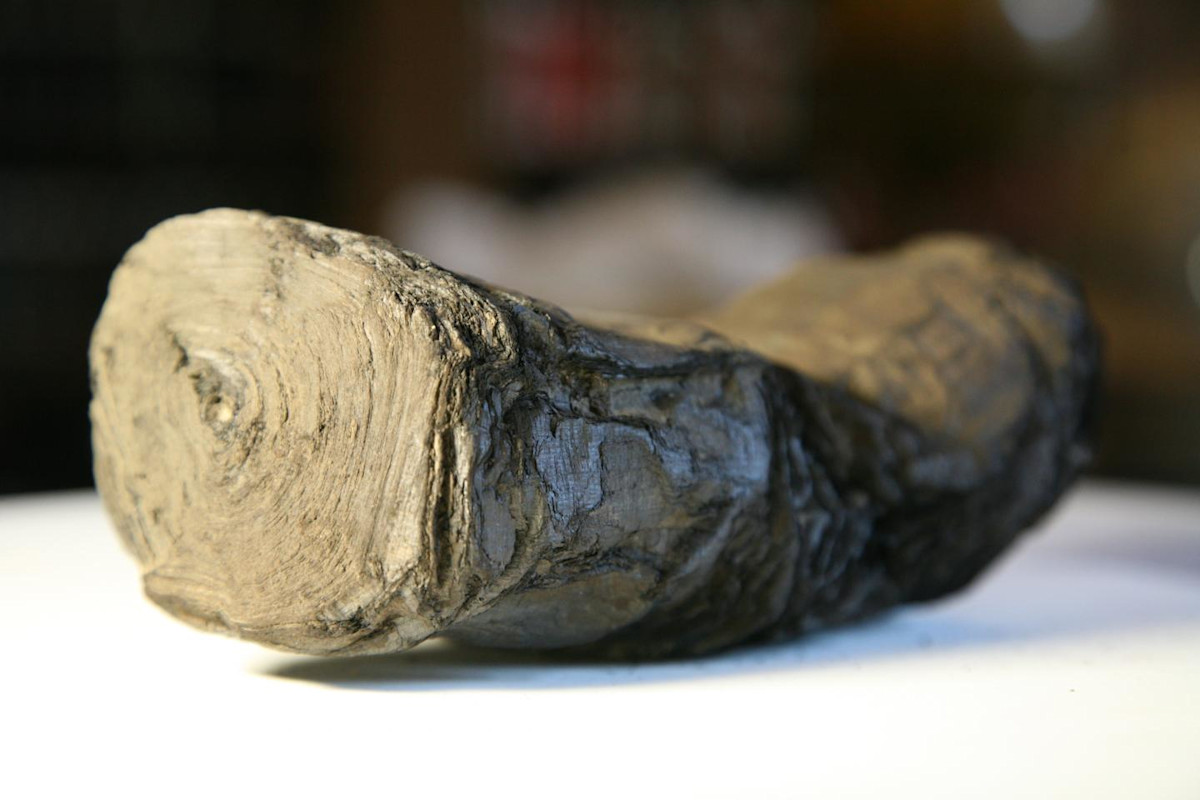 AI Revives 2,000-Year-Old Roman Scroll Burned in Mount Vesuvius Eruption | Discover Magazine