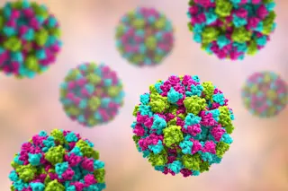 Norovirus strain