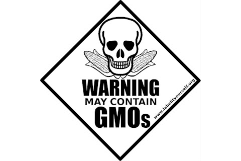 liy_gmo_9.png