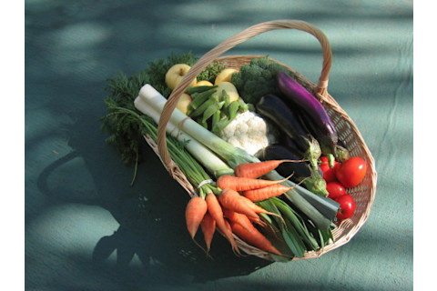 shopping_basket.jpg
