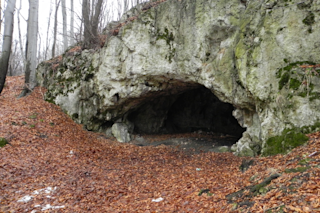 Ice Age Europeans Maszycka Cave Poland