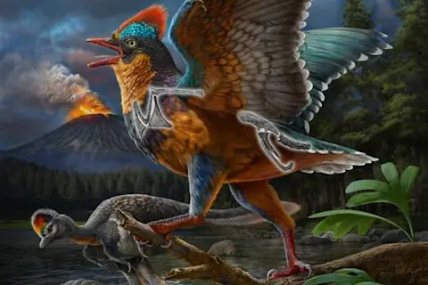 What is One of the Oldest Species of Birds: Timeless Avian Wonders