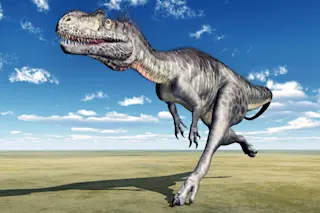 Megalosaurus illustration