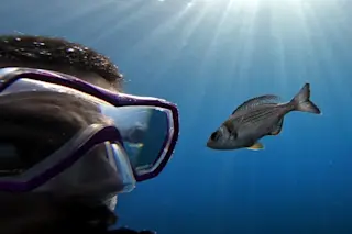 tomasek-with-fish