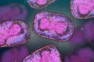 mpox virus