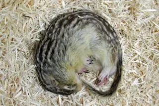 hibernation-1-1024x724.jpg