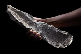 Early humans turned elephant humerus bones into tools.