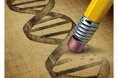 DNA_edits.jpg