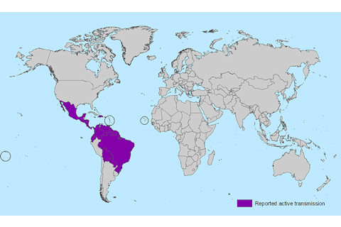 areas_with_zika.jpg