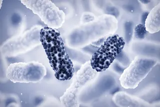 Antibiotic resistance