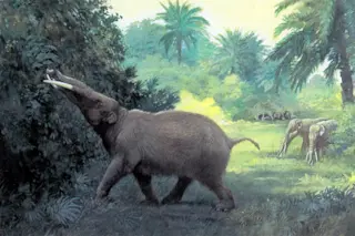 Knight_Gomphotherium-1024x682.jpg