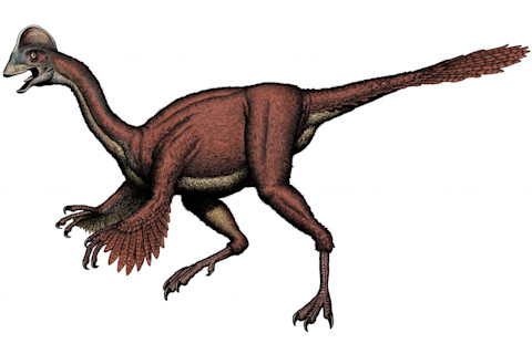 70212-1024x603.jpg